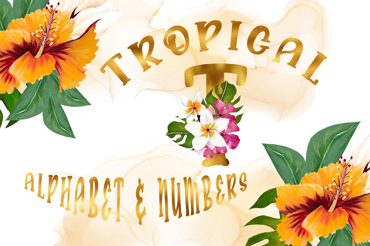 [Designbundles] Tropical Alphabet and Numbers (202_0.jpg